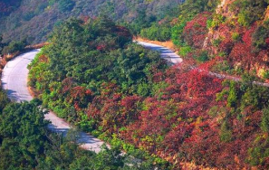 冠航手拉葫蘆在石家莊元氏盤山公路修建中的應用